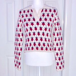 zara strawberry knit